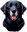 :luna: