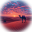 :desertmorning: